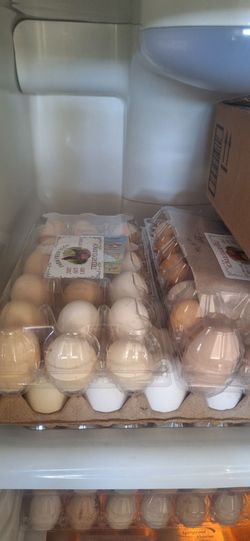 Chicken and duck eggs