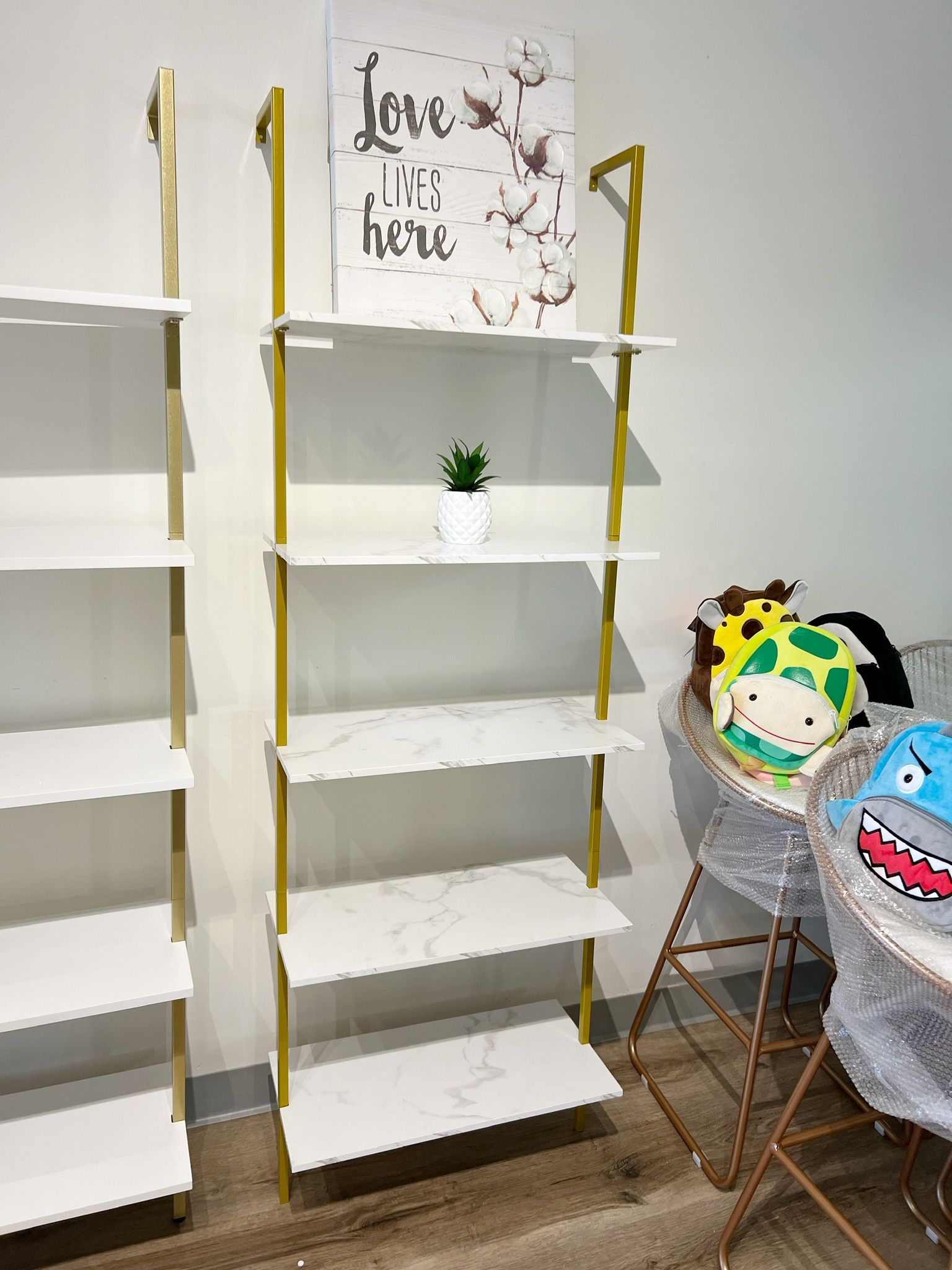 White Ladder Bookshelf