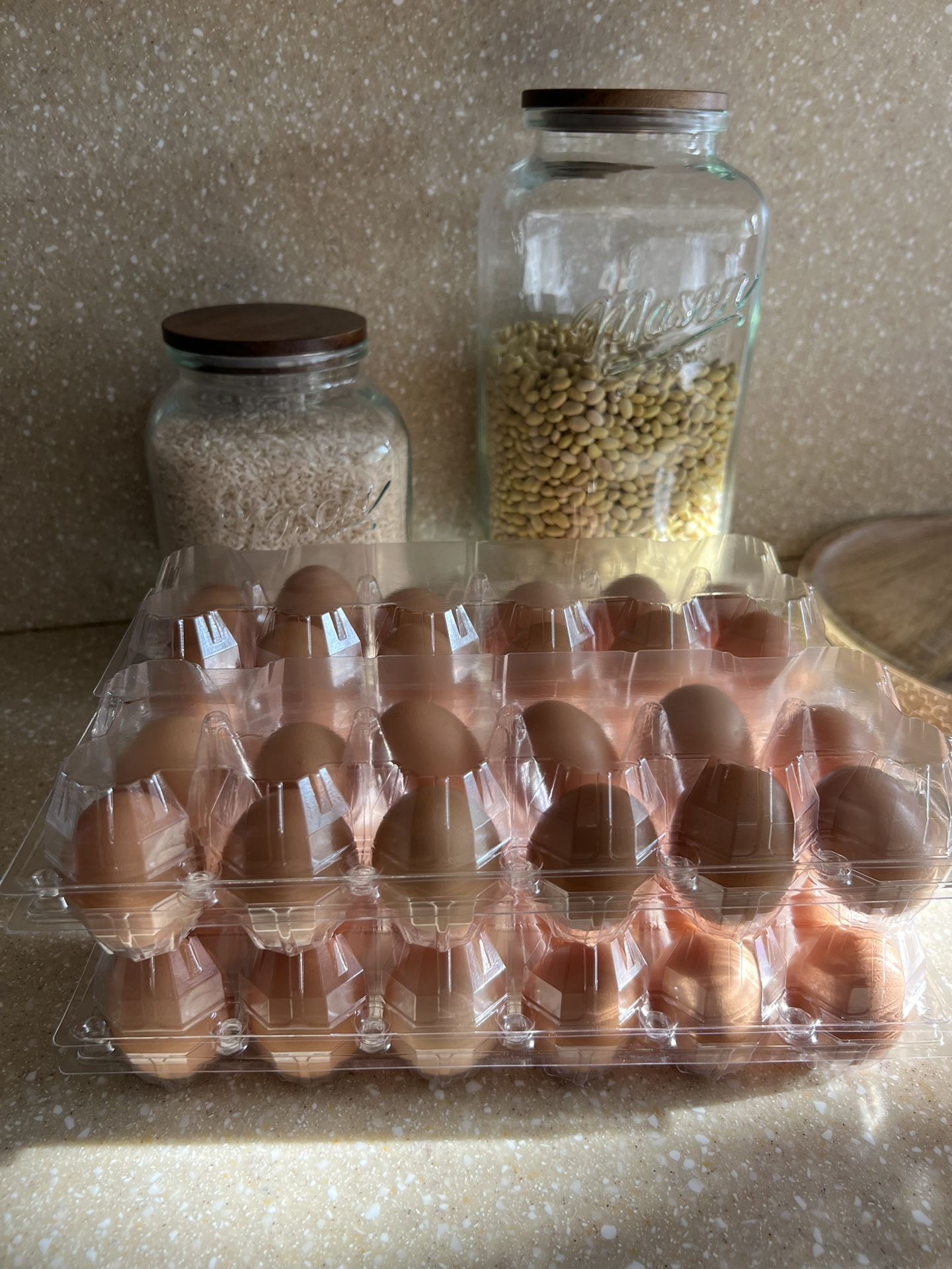 Organic Eggs