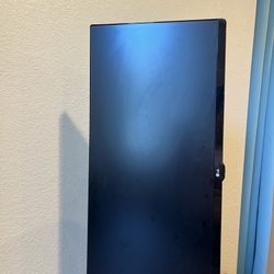 LG Monitor 