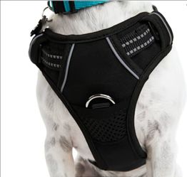 Reflective dog harness