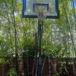 Lifetime Shatterproof Basketball Hoop