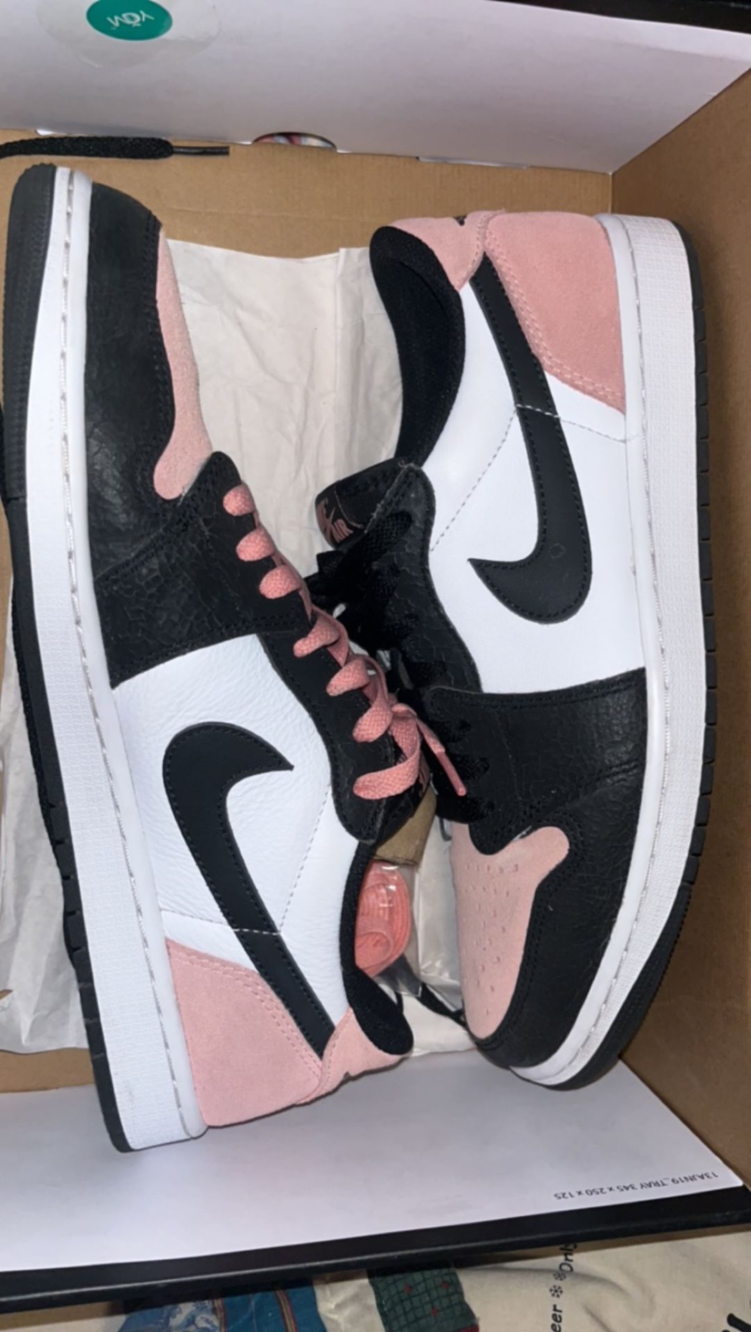 Coral Bleach 1 Low Og