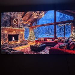 Sony 80" TV 