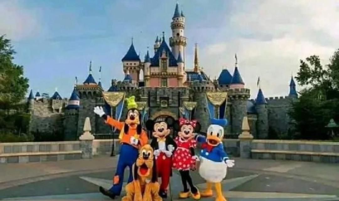 Disney Land Ticket