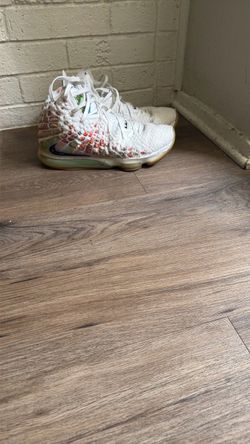 LeBron James shoes