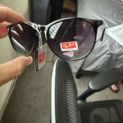 Rayban Style Sunglasses 