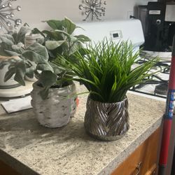 Two Faux Plants 