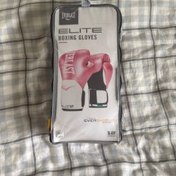 Everlast Boxing Gloves 