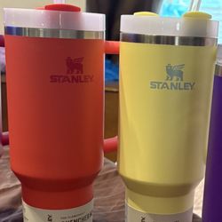 Stanley Tumblers 