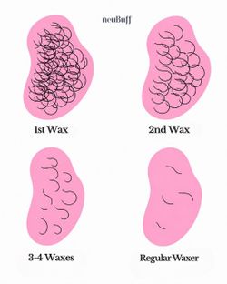 Wax