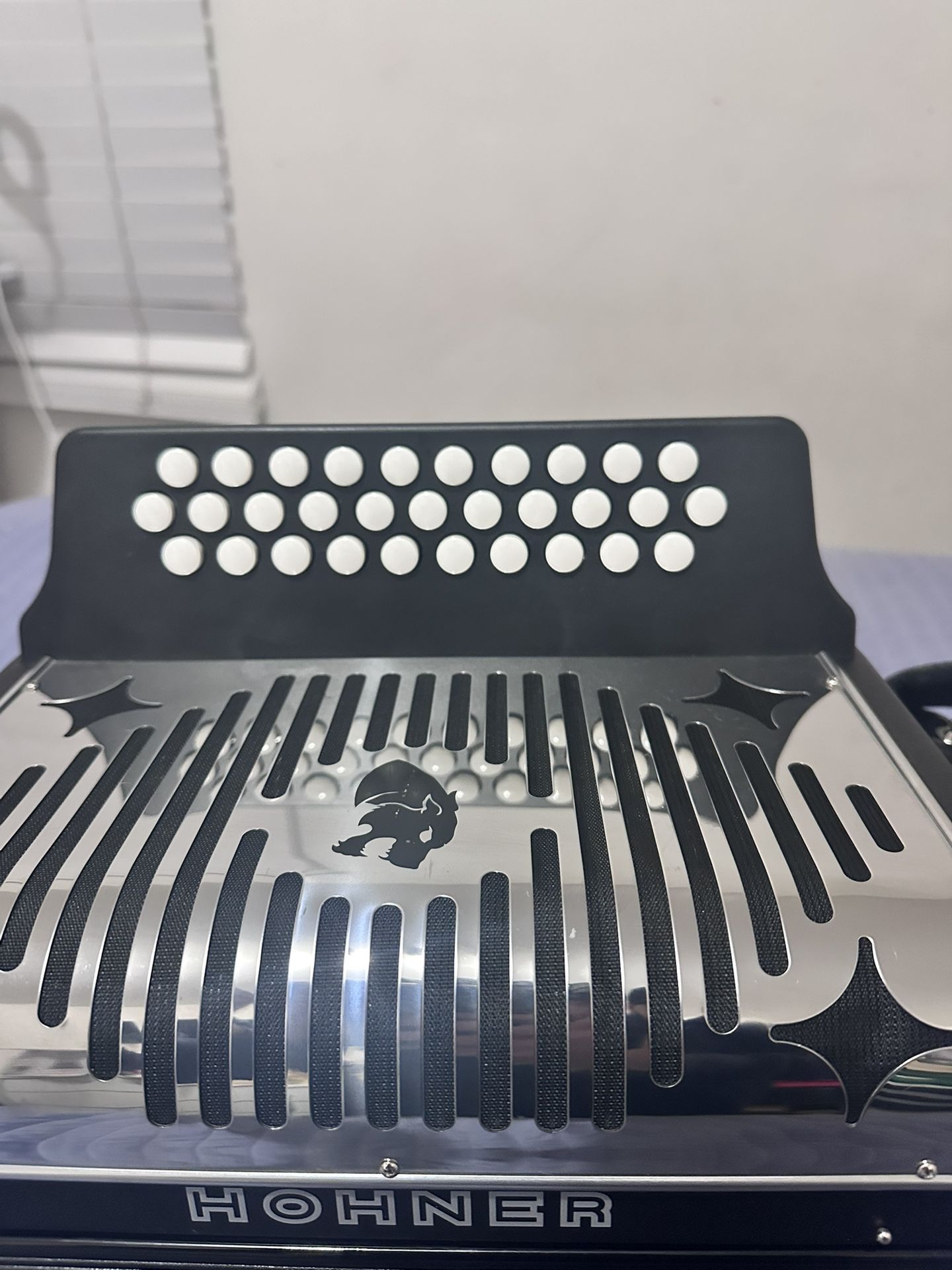 Accordion Honher Pannter 