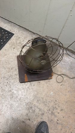 Fan