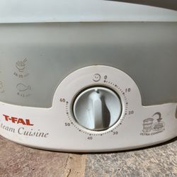 Electric Steamer 