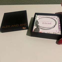 Alex And Ani Friendship Bracelet New 