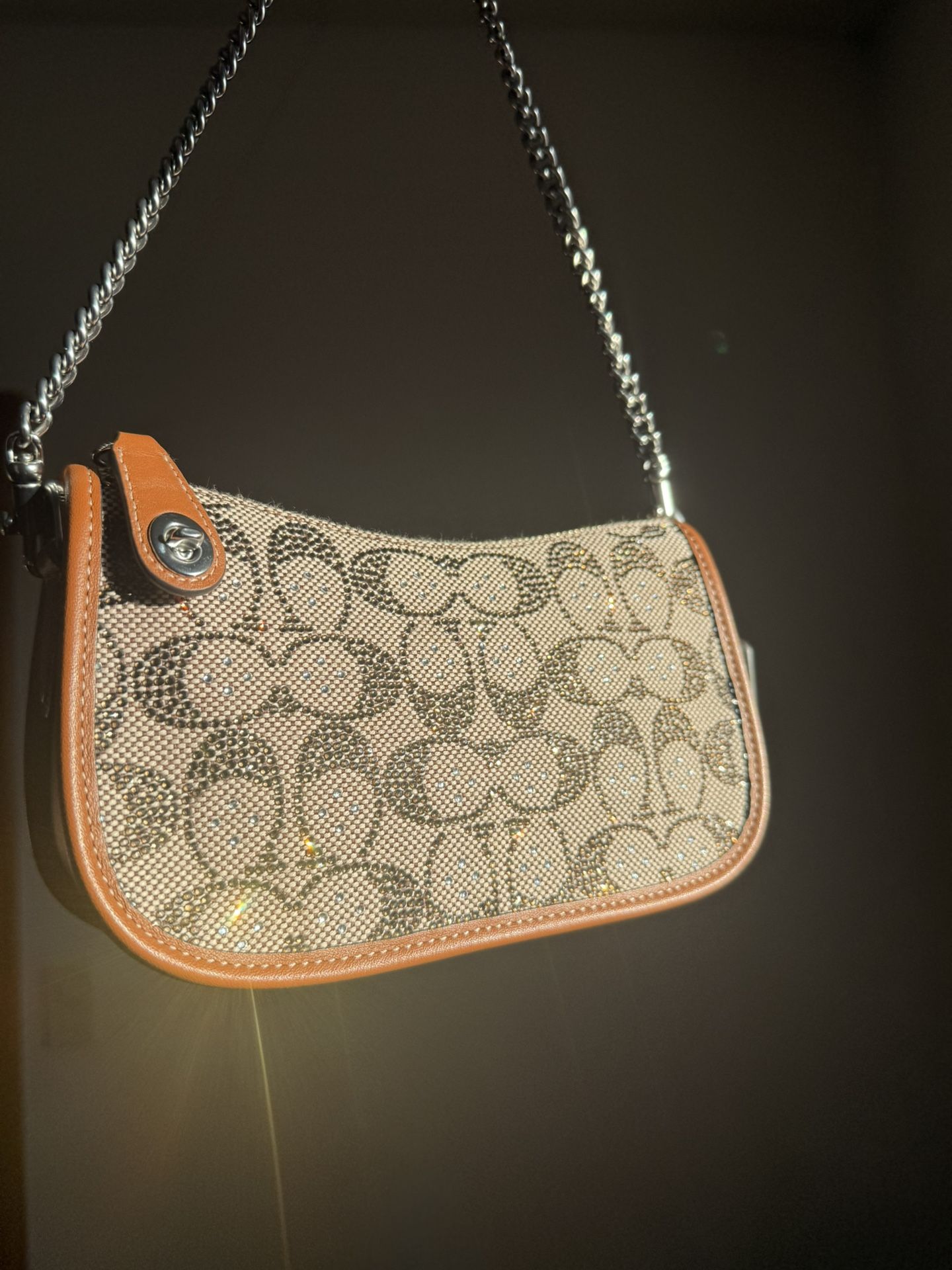 Sparkle & Shine Swinger