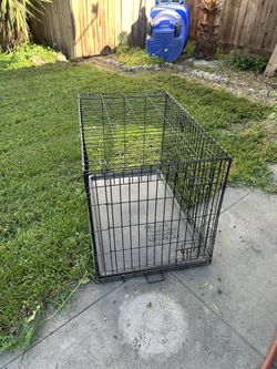 Dog Crate