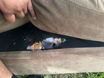 Couch for sale
