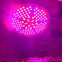 Grow Lights