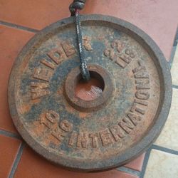weider  22lbs /10 kg international steal
