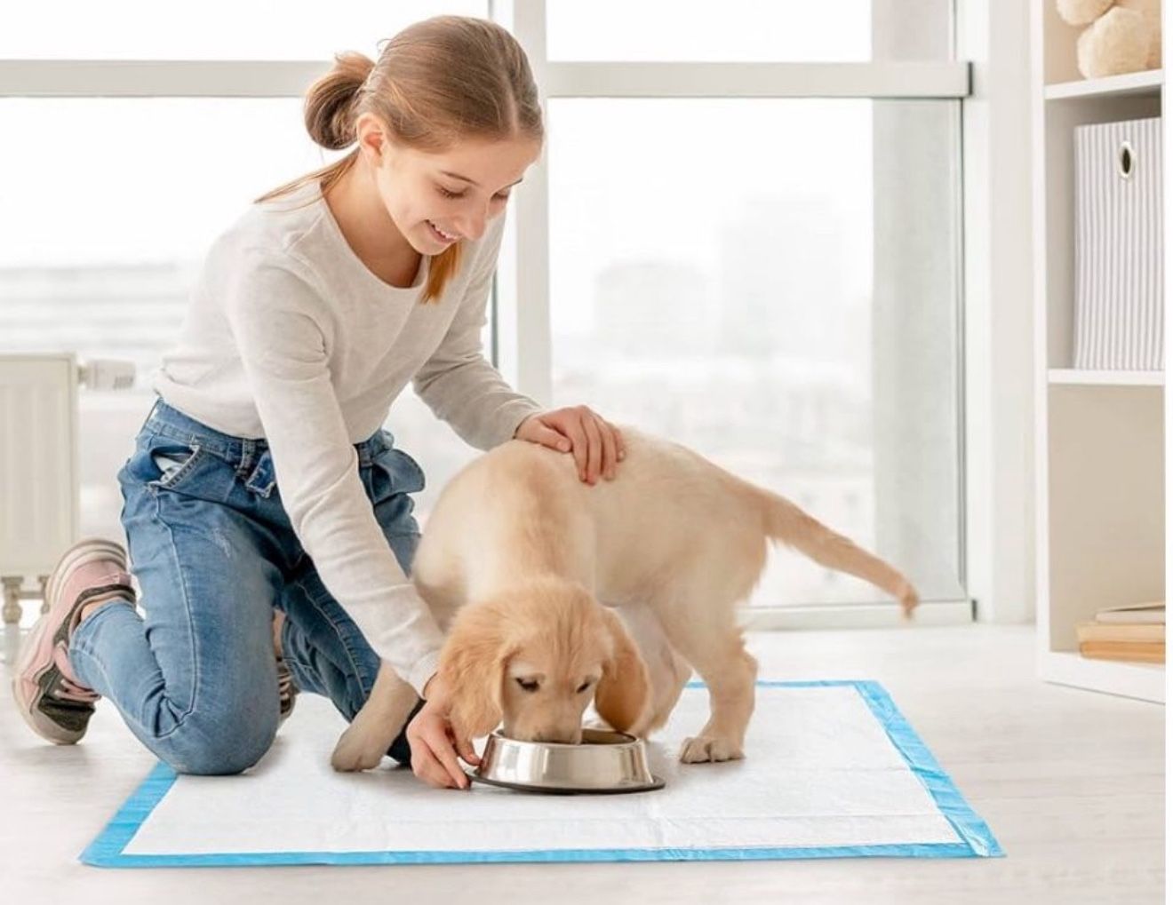 DISPOSABLE PADS DOG POTTY TRAINING / NURSING / Almohadillas azules absorbentes para entrenamiento de mascotas O Adultos