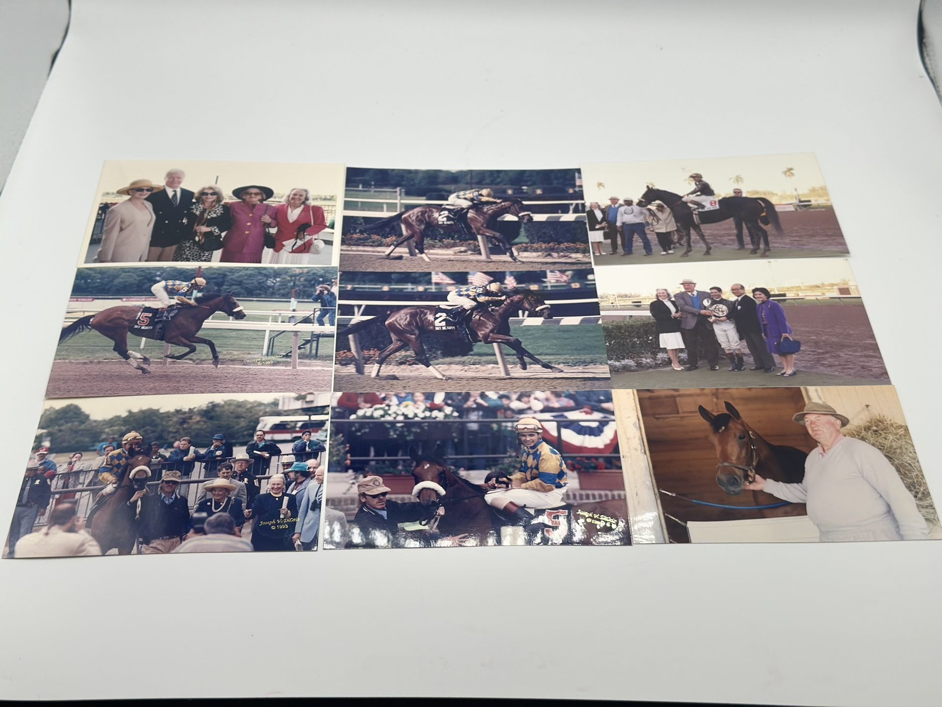 Vintage 1992-93 Sky Beauty Horse Racing Photos Belmont Park DiOrio Livingston