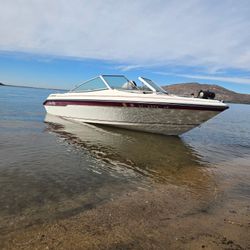  Sea Ray 160 Bow Rider