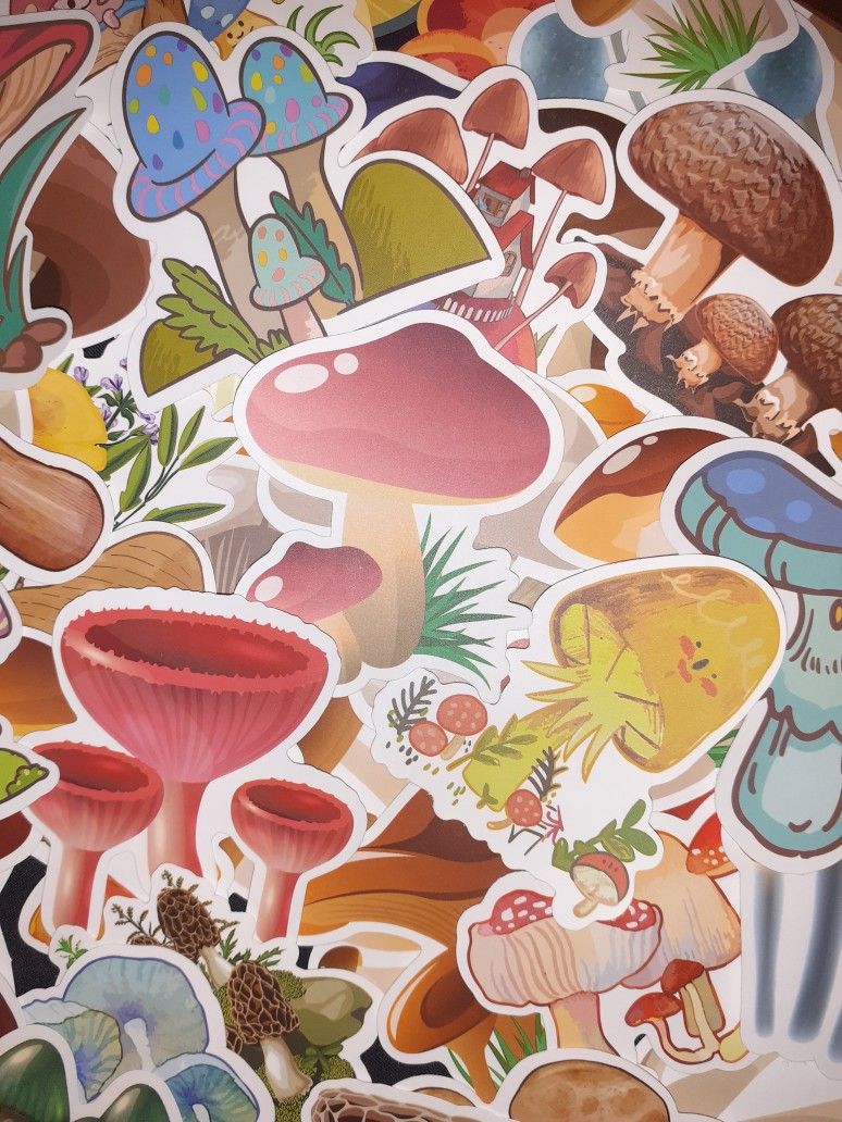 50pc MushroomVinyl Stickers