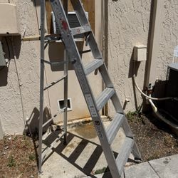 6’ Aluminum Ladder $40