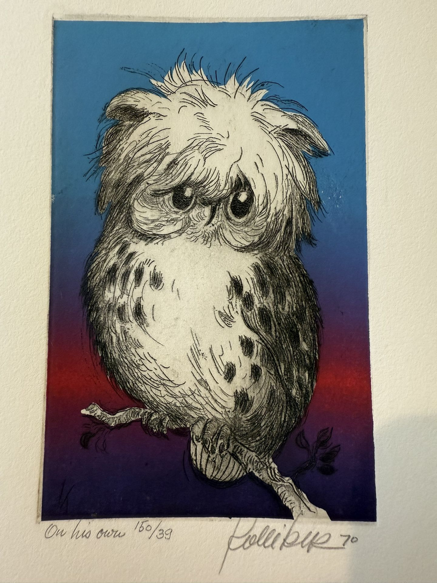 William Kolliker Owl Etching
