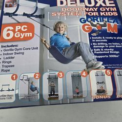 Doorway gym system for kids