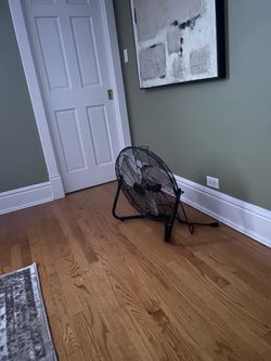 Fan
