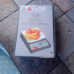 Taylor Professional Digital Scale 