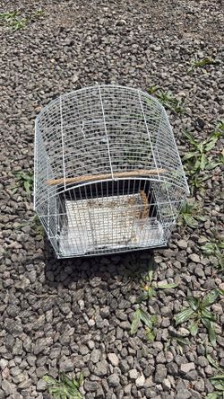 Small bird cage