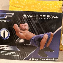 DynaPro Exercise Ball