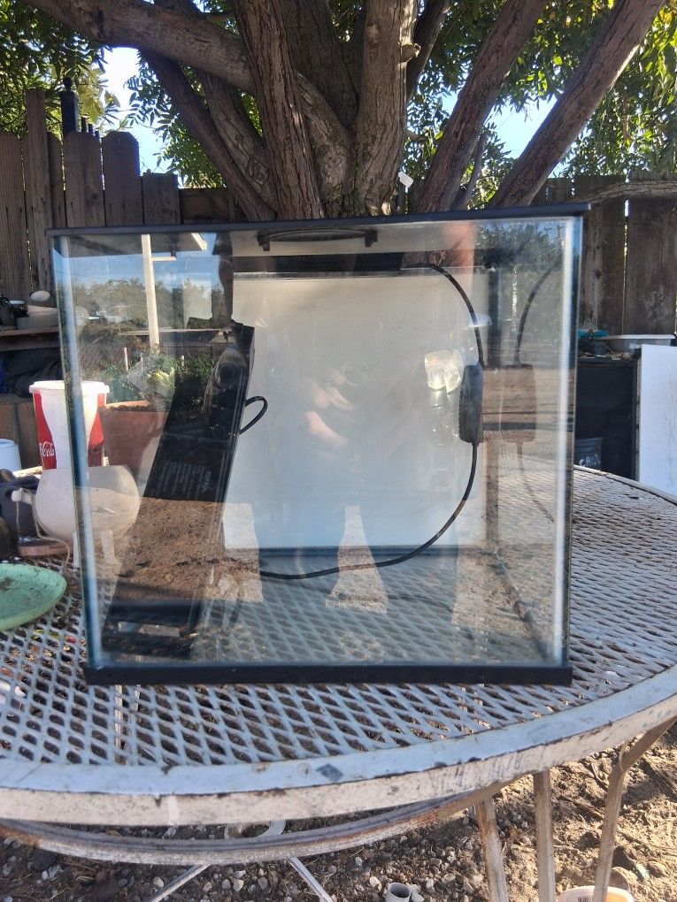 Fish Aquarium