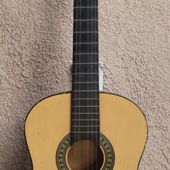 Acoustic Guitar
