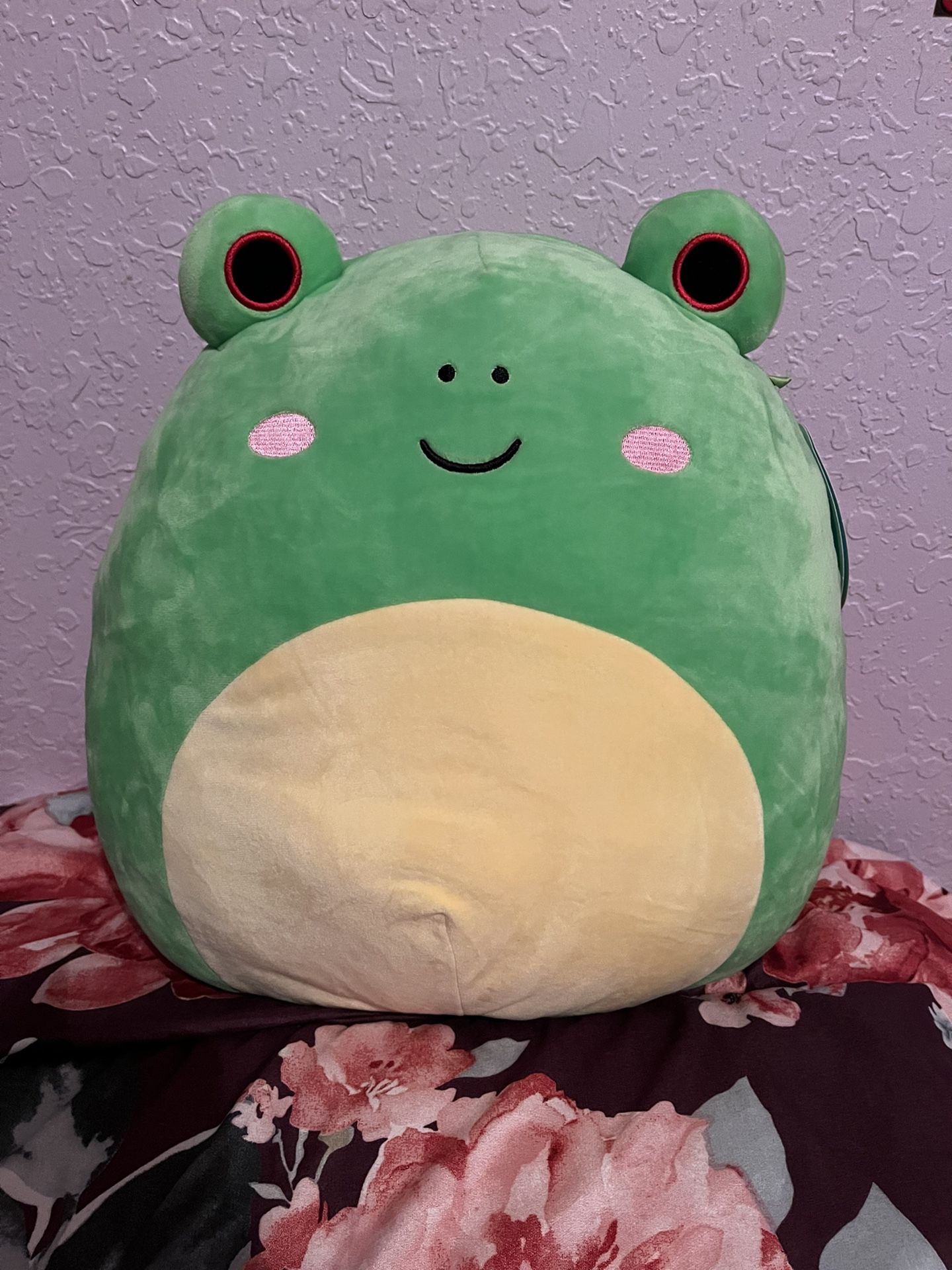 Wendy 14 Inch Frog Squishmallow for Sale in Pembroke Pines, FL - OfferUp