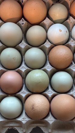 Farm Fresh Eggs