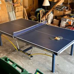 Ping Pong Table 