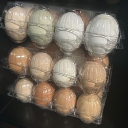 Fresh eggs 