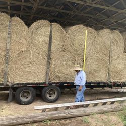 Fresh -Round Hay Bales- Free Delivery , Austin , San Antonio And Surroundings 