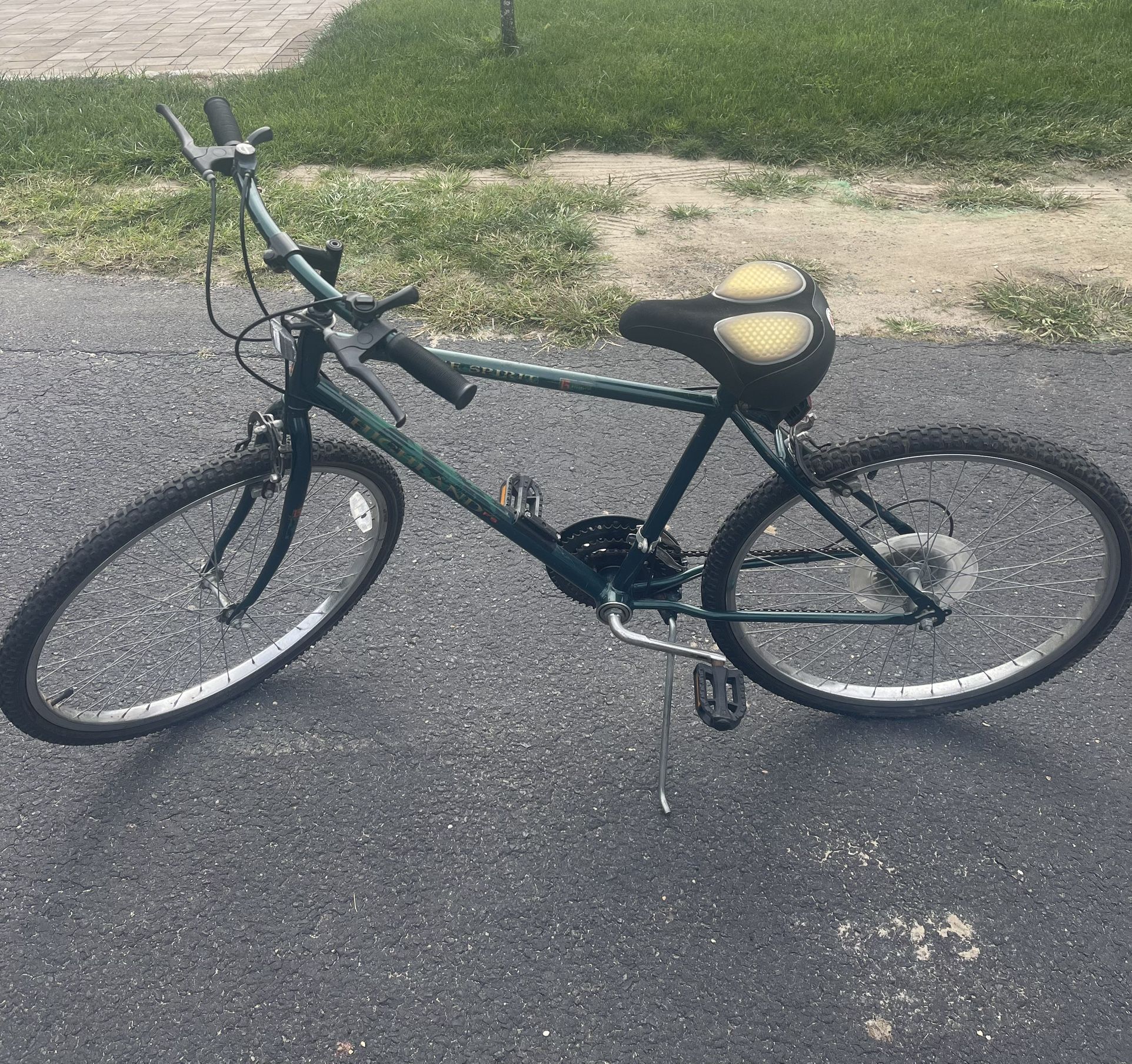 Adult Bike