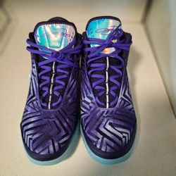 LeBron James Nike Monopoly Sneakers.