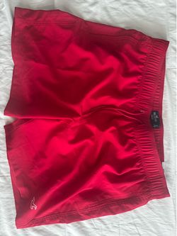 Hollister Men’s Swim Shorts