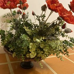 Rare Beautiful plant with wicker vase 