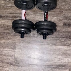 Dumbbells 30