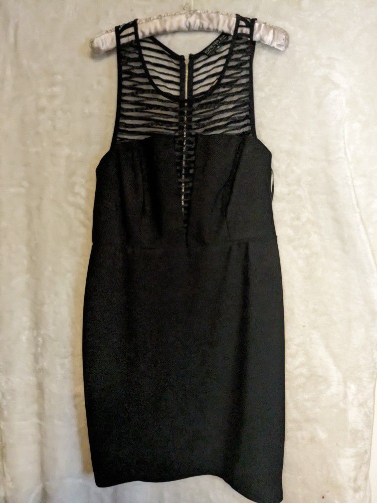 Ladies Plus Size 2X  Forever 21 Dress (Never Worn)