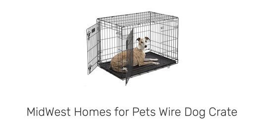 Kennel