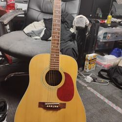 Stevens Guitar 